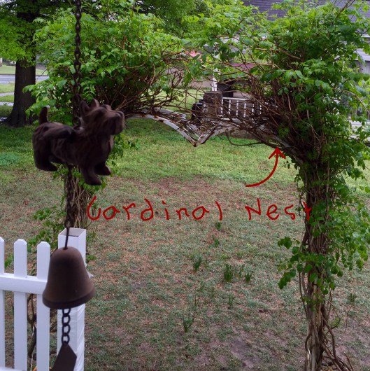 Indy and Lucy's garden arch