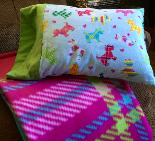 Travel blankets and pillows from DD and Diane Lewis