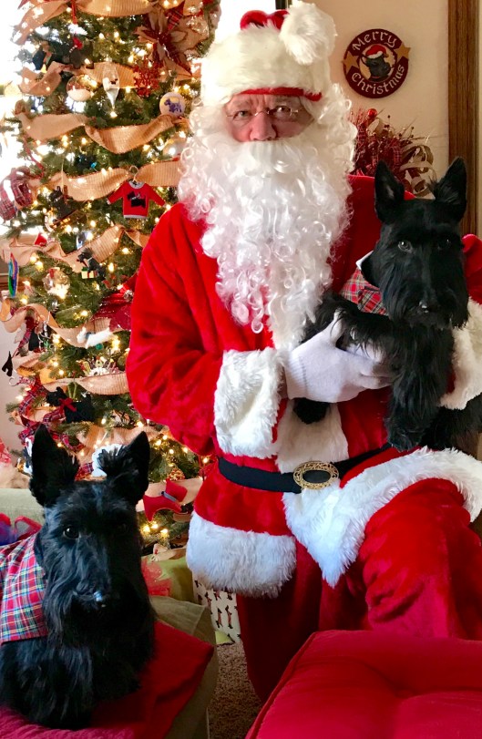 Santa and Indy and Lucy