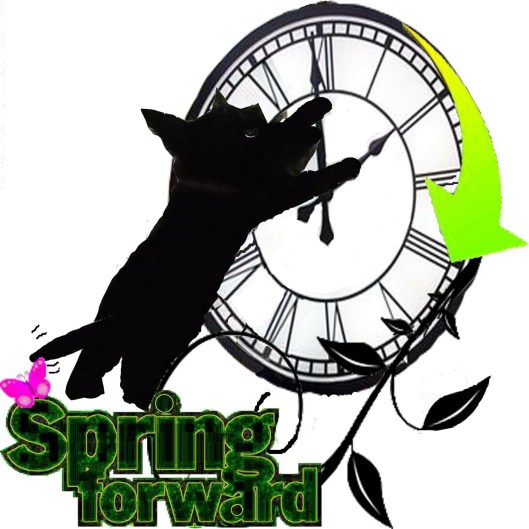 Daylight Savings Time