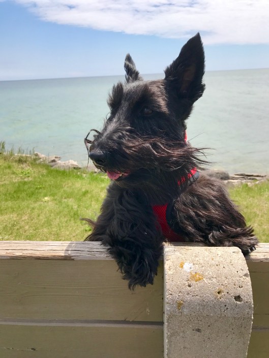 Lucy, Baileys Harbor, WI