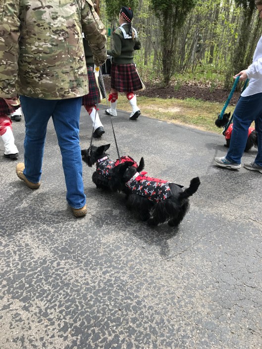 Indy and Lucy DCSR parade