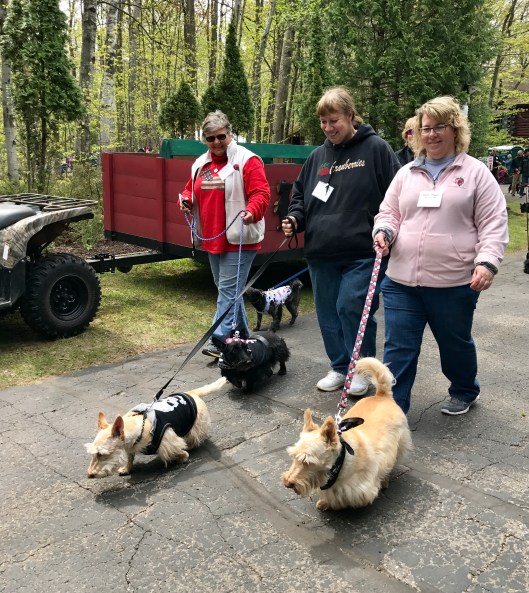 Connie, Deb and Kathy starting out on the parade route