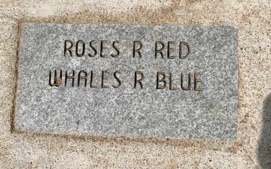 Blue Whale Route 66